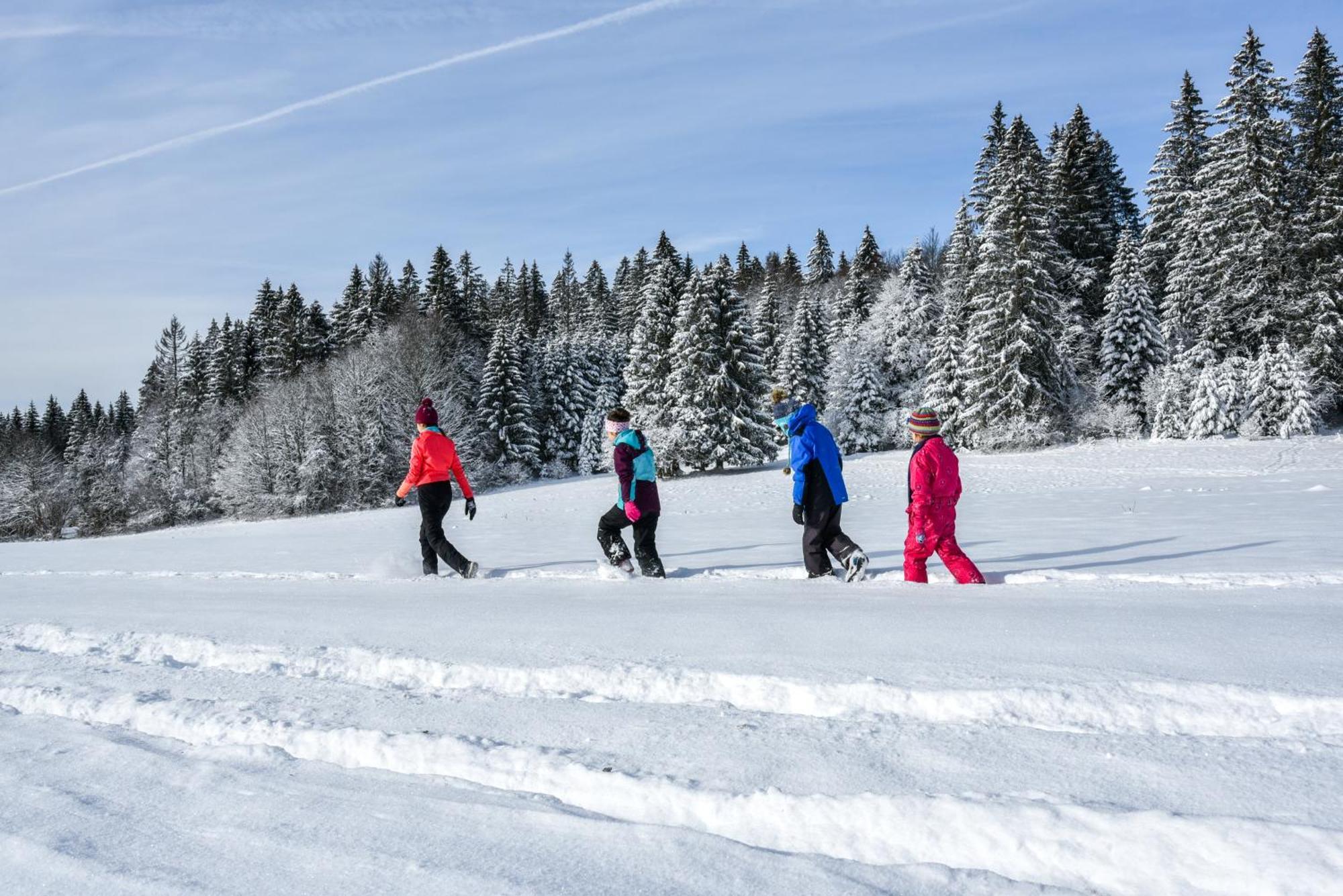 Notre Chalet - Boutique Hotel - En Couple - En Famille - En Groupe Les Fourgs Luaran gambar